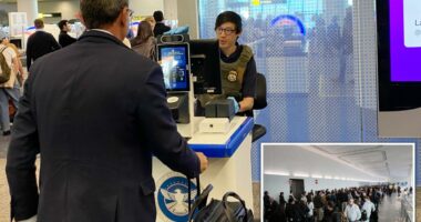 ICE agents scanning IDs at LaGuardia Airportâs long TSA linesÂ 